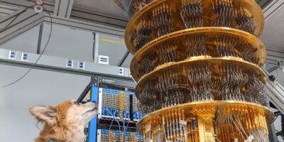Qubit the dog on the big questions in quantum computing