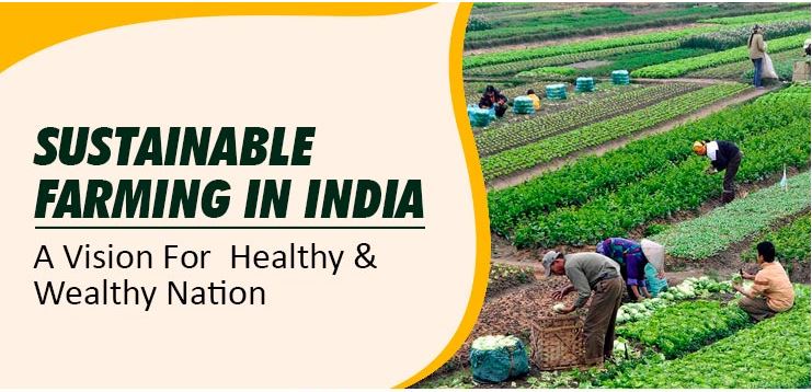 How AI is improving agriculture sustainability in India - Machine ...